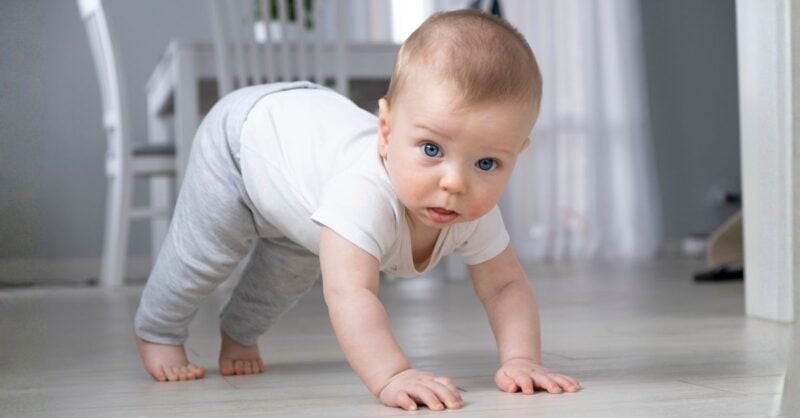 O bebé já gatinha: como preparar a casa para um pequeno explorador