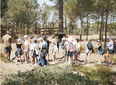Campo de Férias Sesimbra Bushcraft