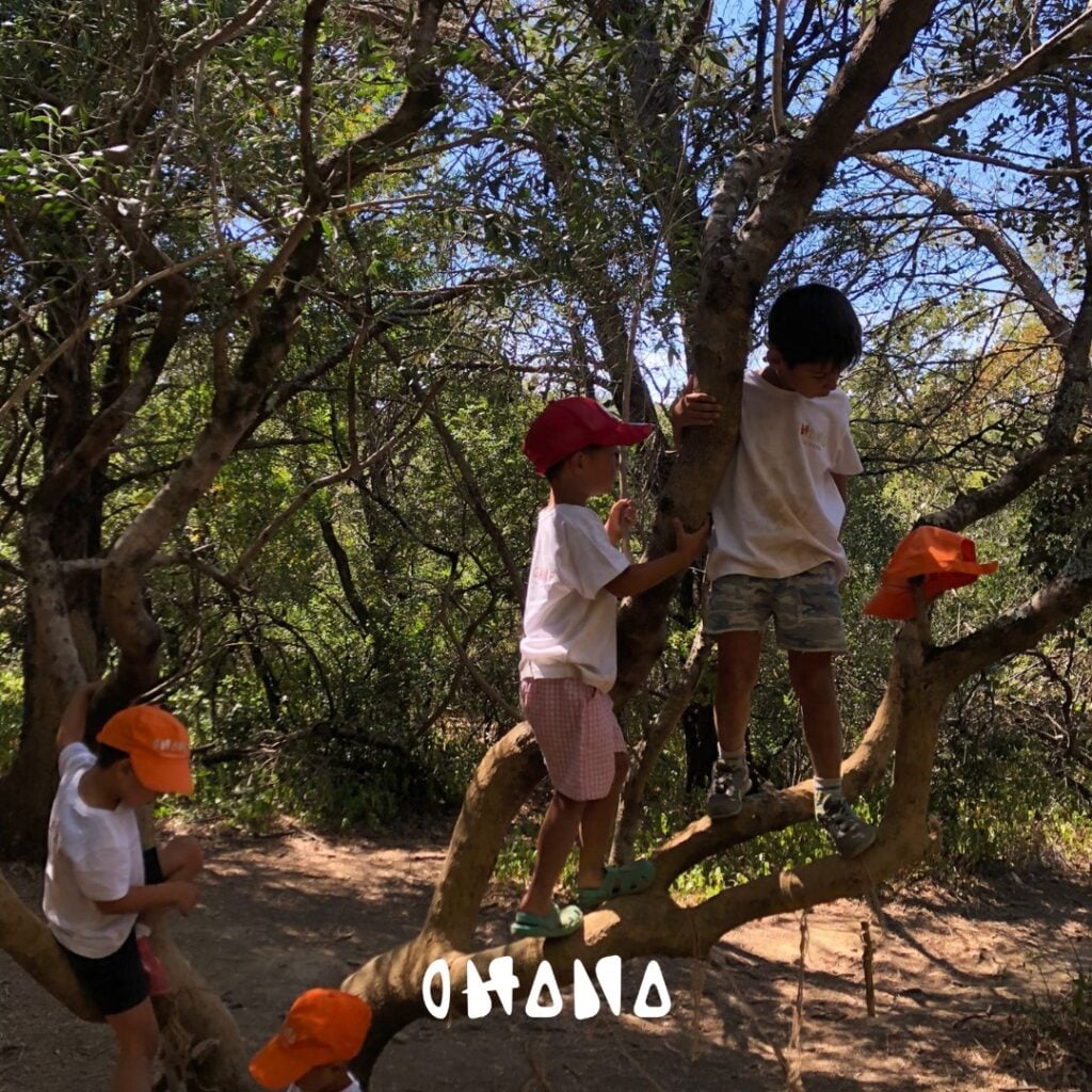 Campo de Férias Cascais nos Arvores