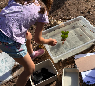 Experimentação no Campo de Férias em Estoril Verão 2026