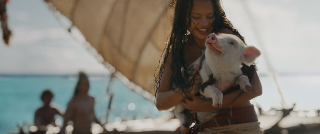 Porquinho no filme Vaiana em imagem real