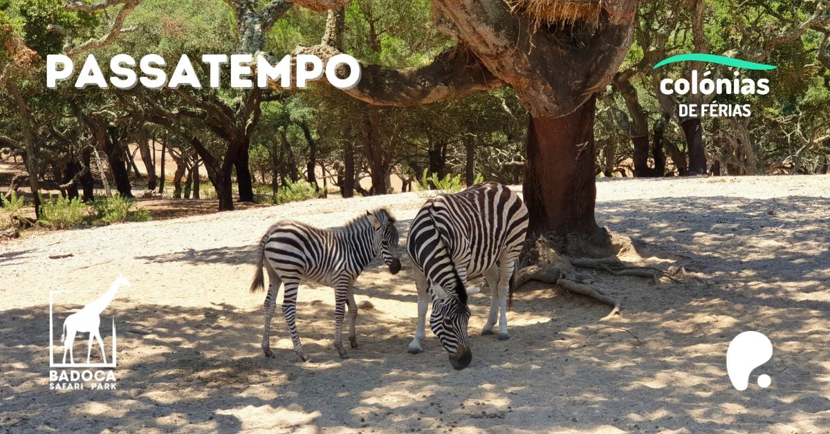 Passatempo Badoca Park