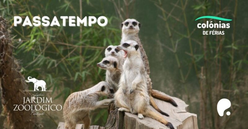 Passatempo Jardim Zoológico de Lisboa
