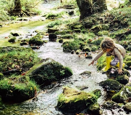 fieldwork 1