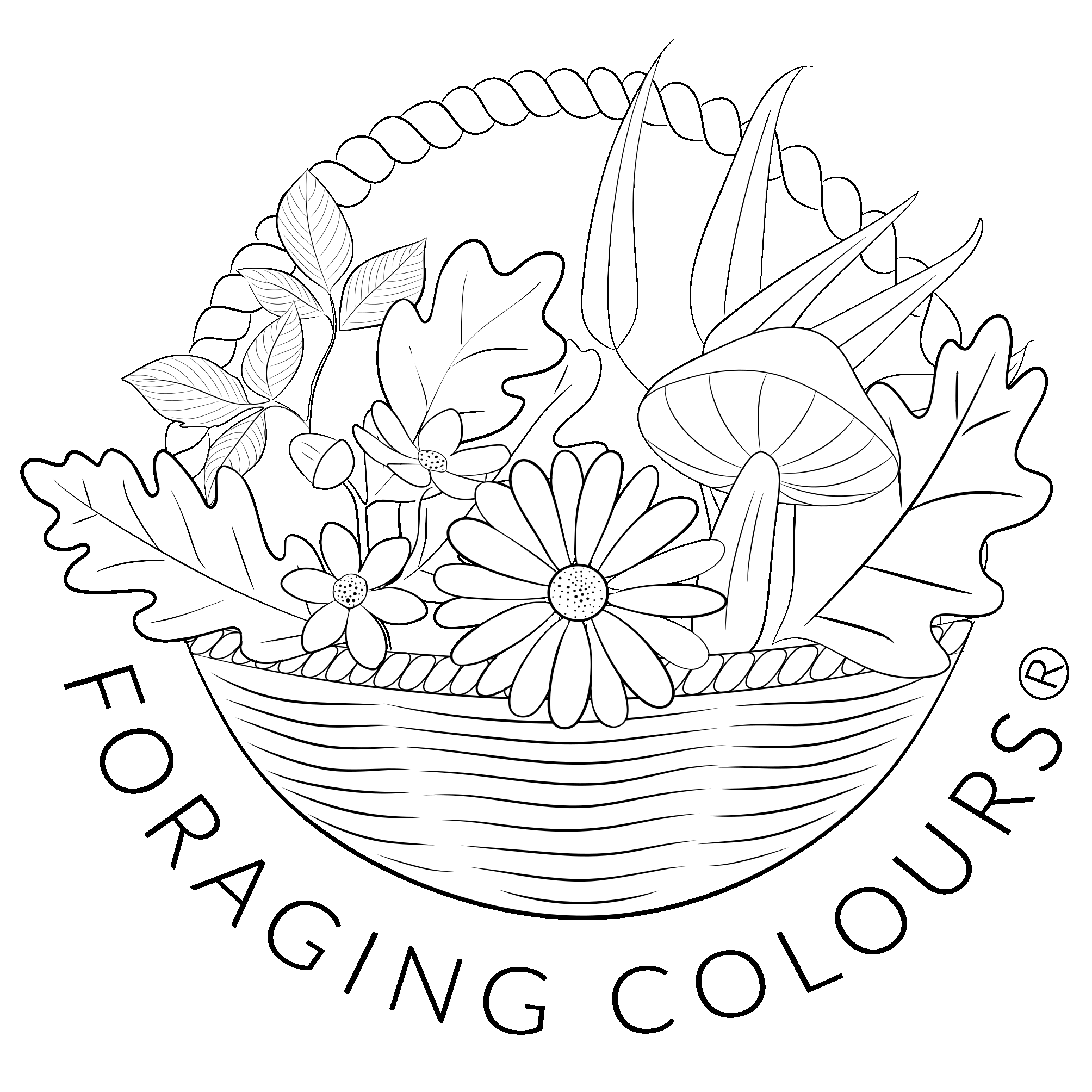 Foraging Colours