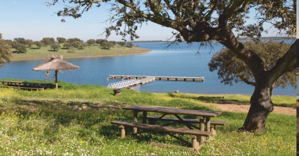 Parque de merendas no Alentejo com sombra, água e espaço para piquenique.