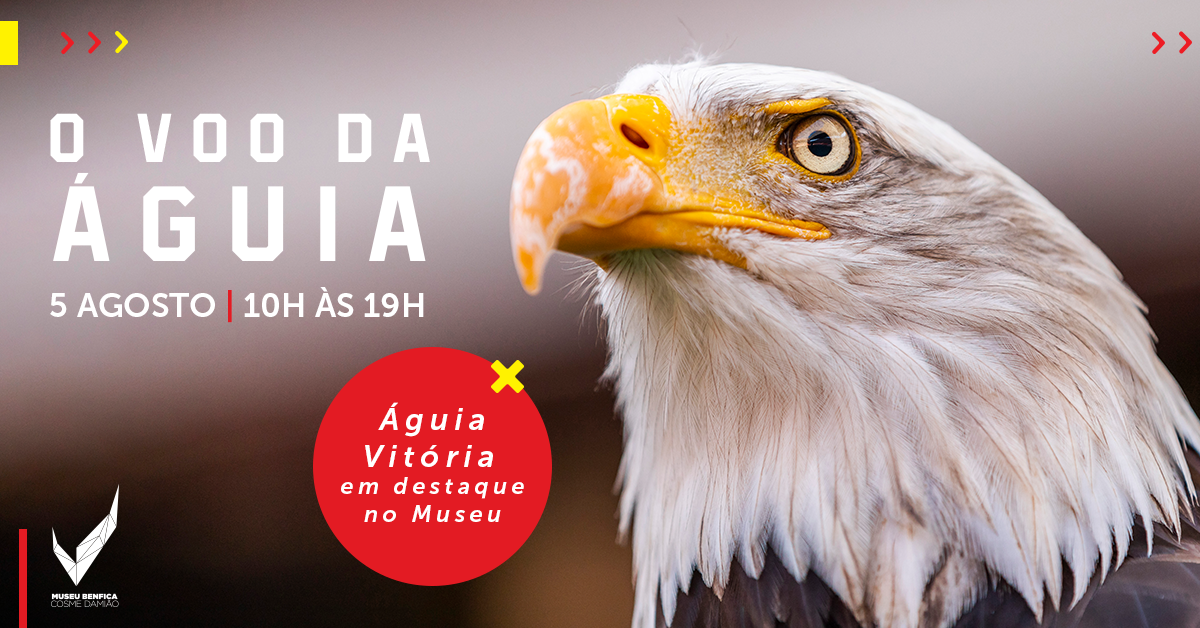 Dia Aberto: O Voo da Águia