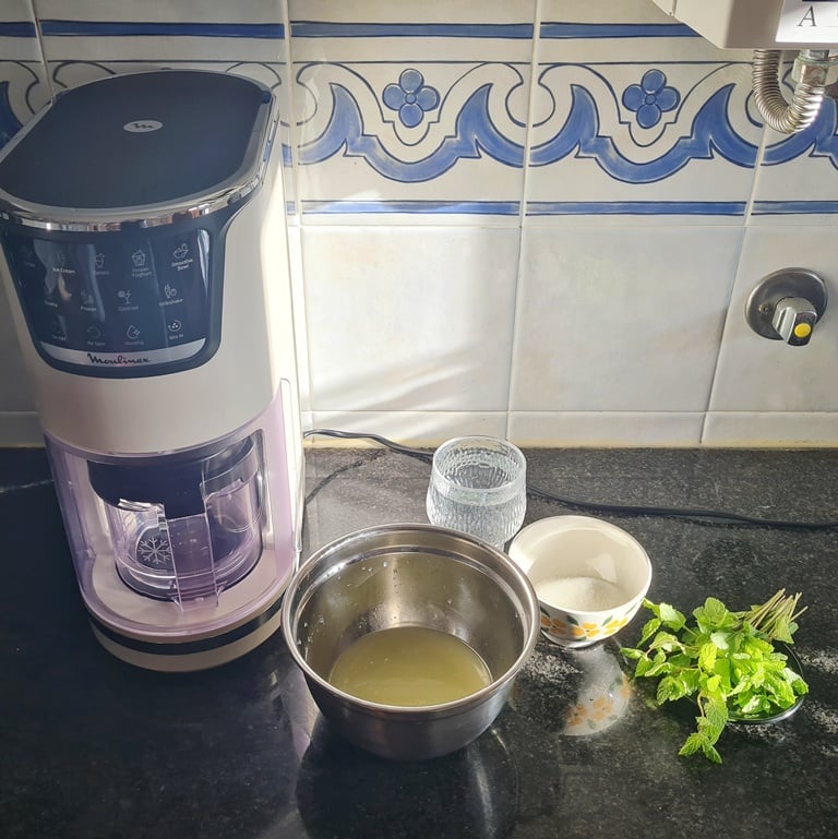 Receita de mojito - ingredientes