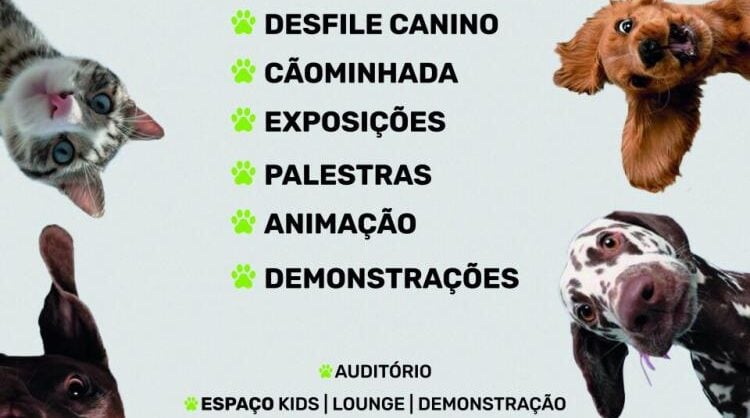 LeiriAnimália 2026: animais, workshops e atividades para famílias