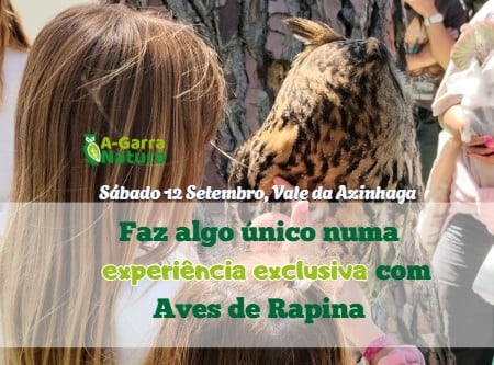 Vivência com Aves de Rapina – Exclusivo