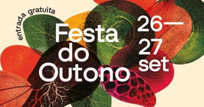 Festa do Outono em Serralves 2026: dois dias de atividades gratuitas em família