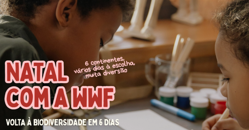 Campo de Férias de Natureza em Lisboa no Natal