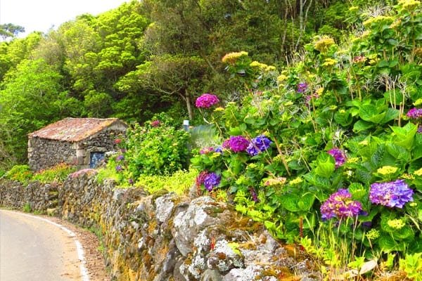 Natureza na Ilha Terceira