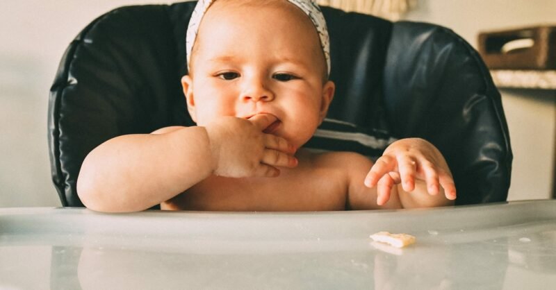 alimentação de um bebé de 9 meses