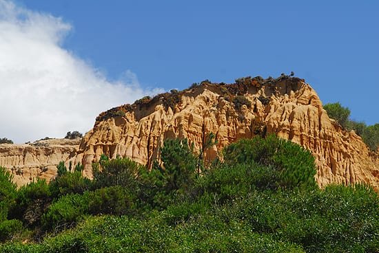 Arriba Fóssil da Costa da Caparica
