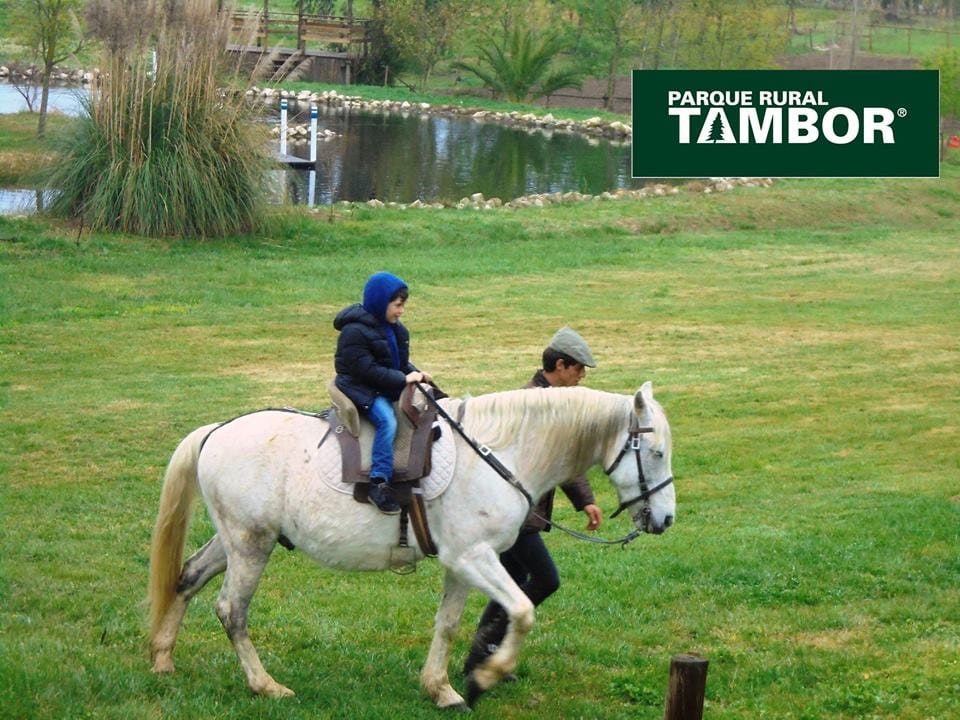 Parque rural do Tambor Cavalos
