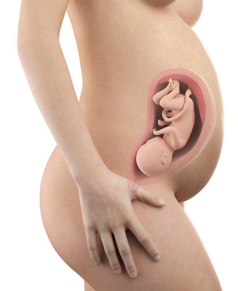 31 semanas de gravidez - barriga