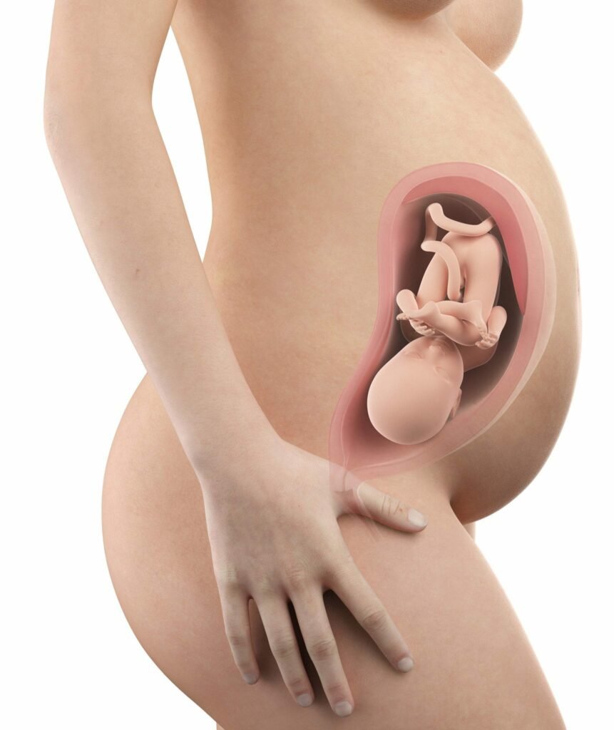 32-semanas-de-gravidez-barriga.