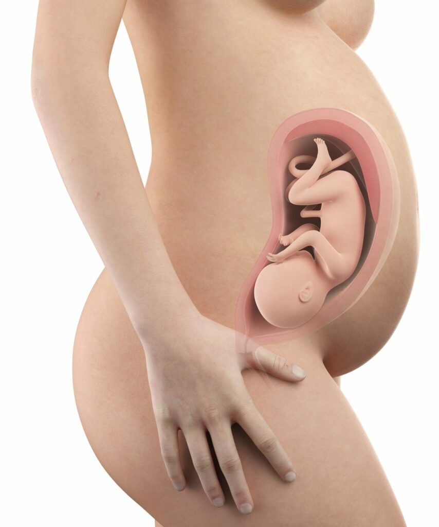 33 semanas de gravidez - barriga