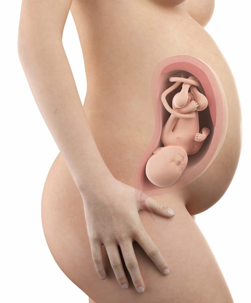 34 semanas de gravidez - barriga