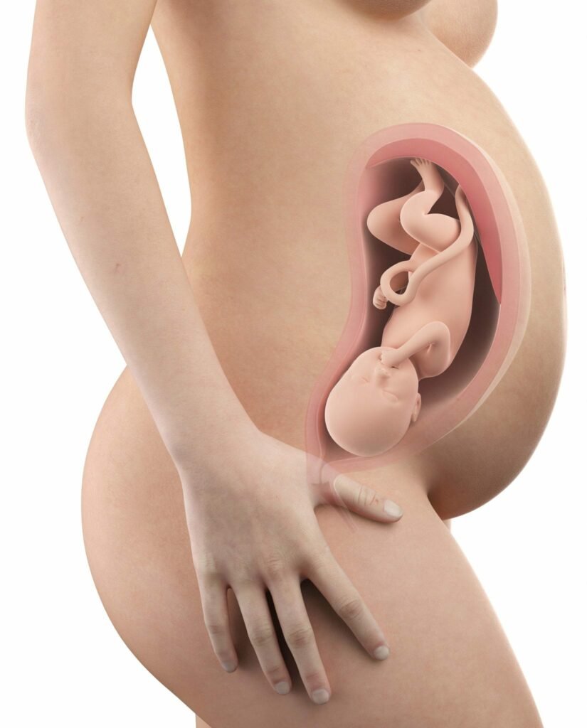 35 semanas de gravidez - barriga