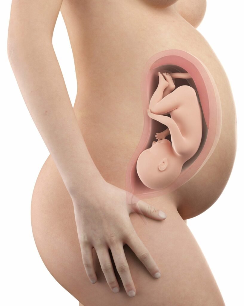 36 semanas de gravidez - barriga