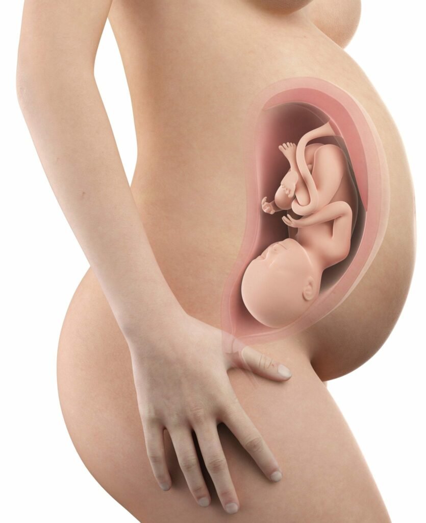 37 semanas de gravidez - barriga