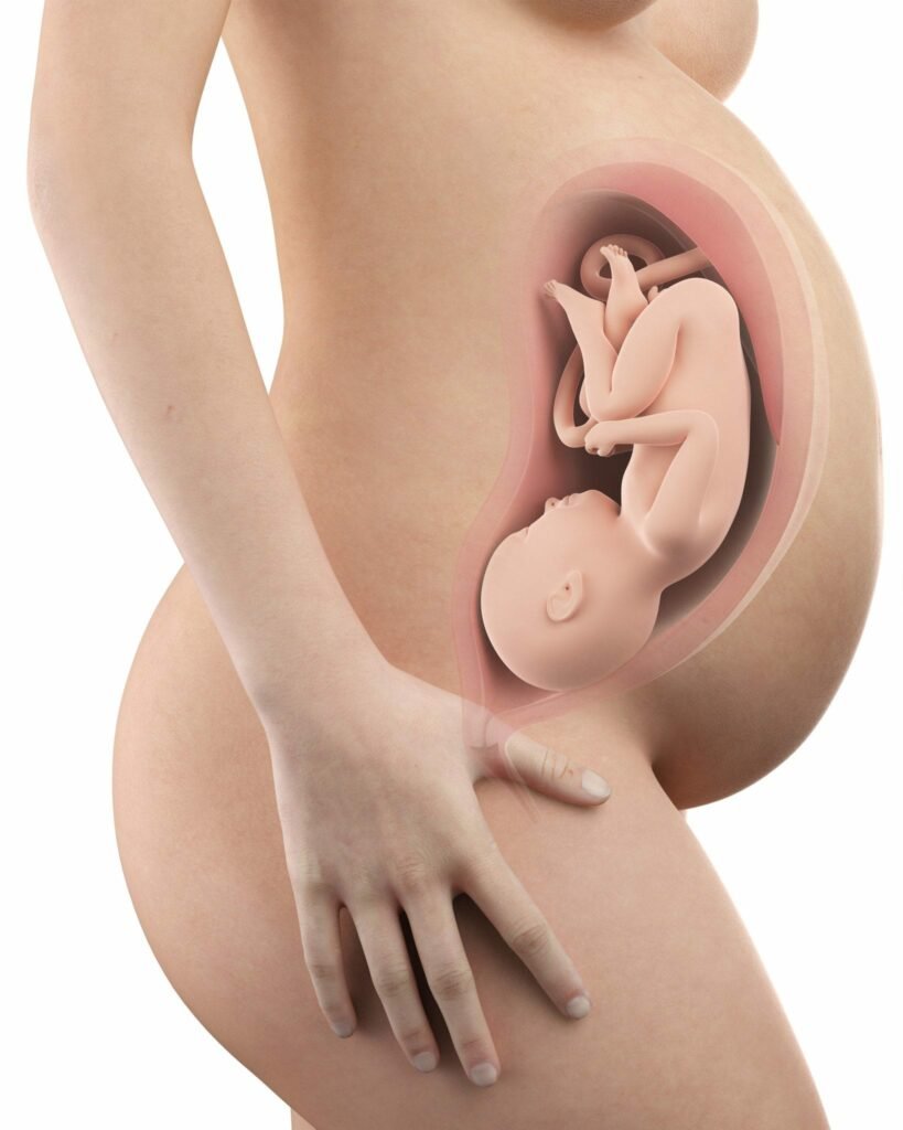 39 semanas de gravidez - barriga