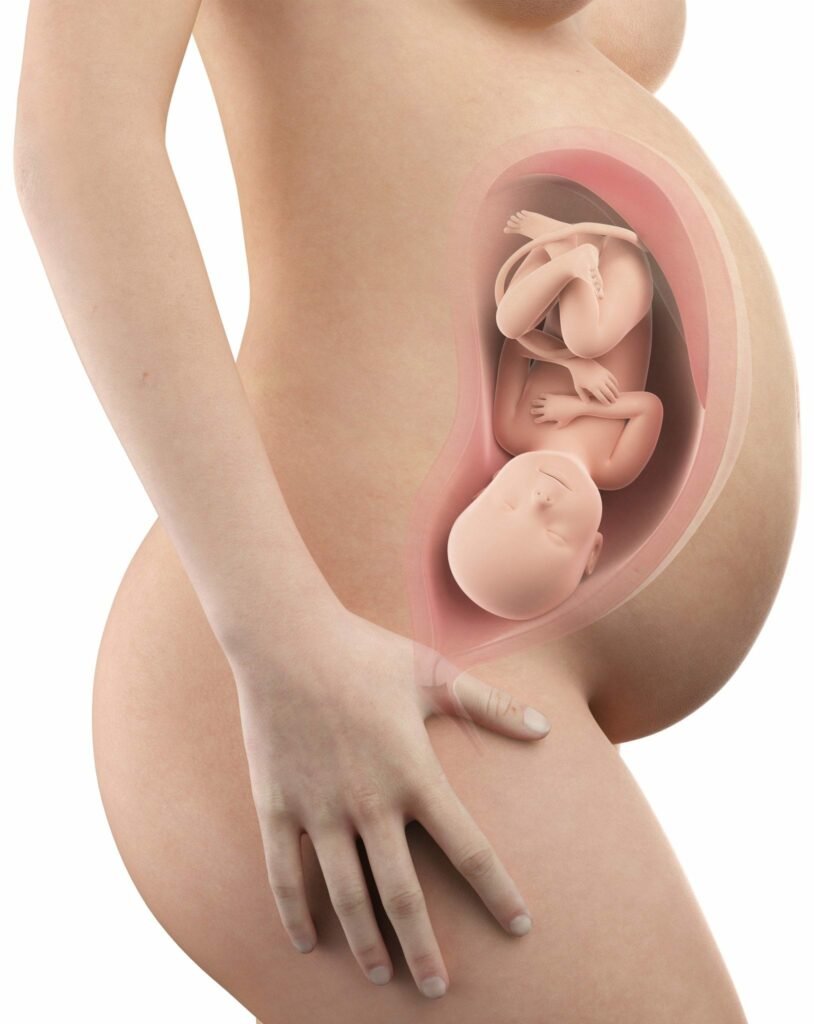 40 semanas de gravidez - barriga