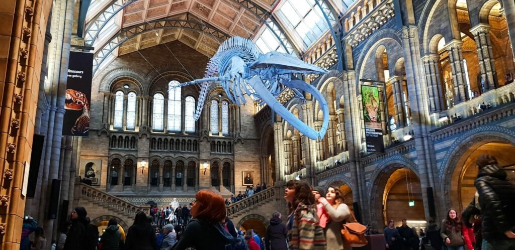 O que visitar em Londres - Natural History Museum - Museu de História Natural