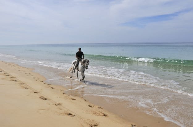 Cavalos na Areia: fazer um passeio a cavalo numa praia paradisíaca é um sonho real!