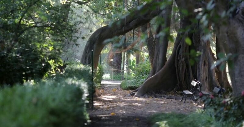 Jardim Botânico de Lisboa: vamos explorar?
