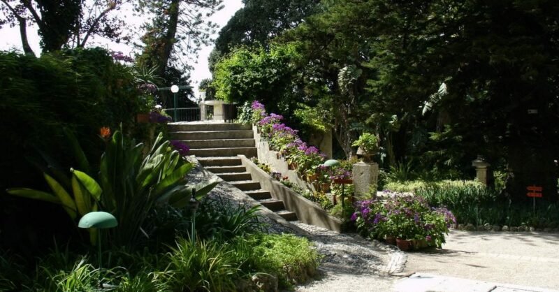 Jardim Botânico Monteiro-Mor