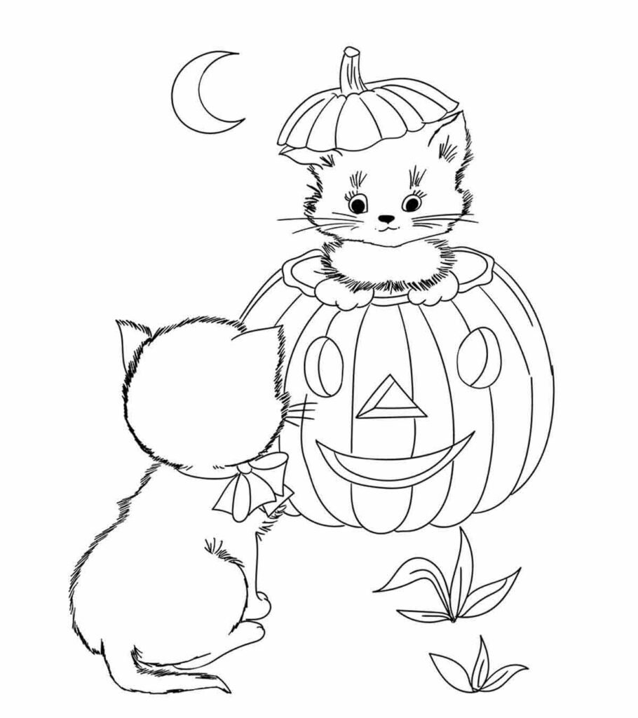 desenhos de halloween abobora gatos