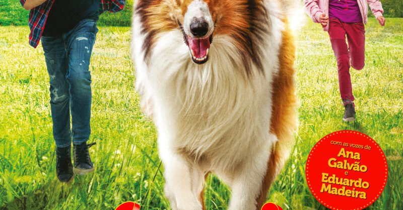 Poster Lassie de volta a casa