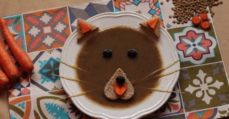 Sopa miau! de lentilhas e alho francês