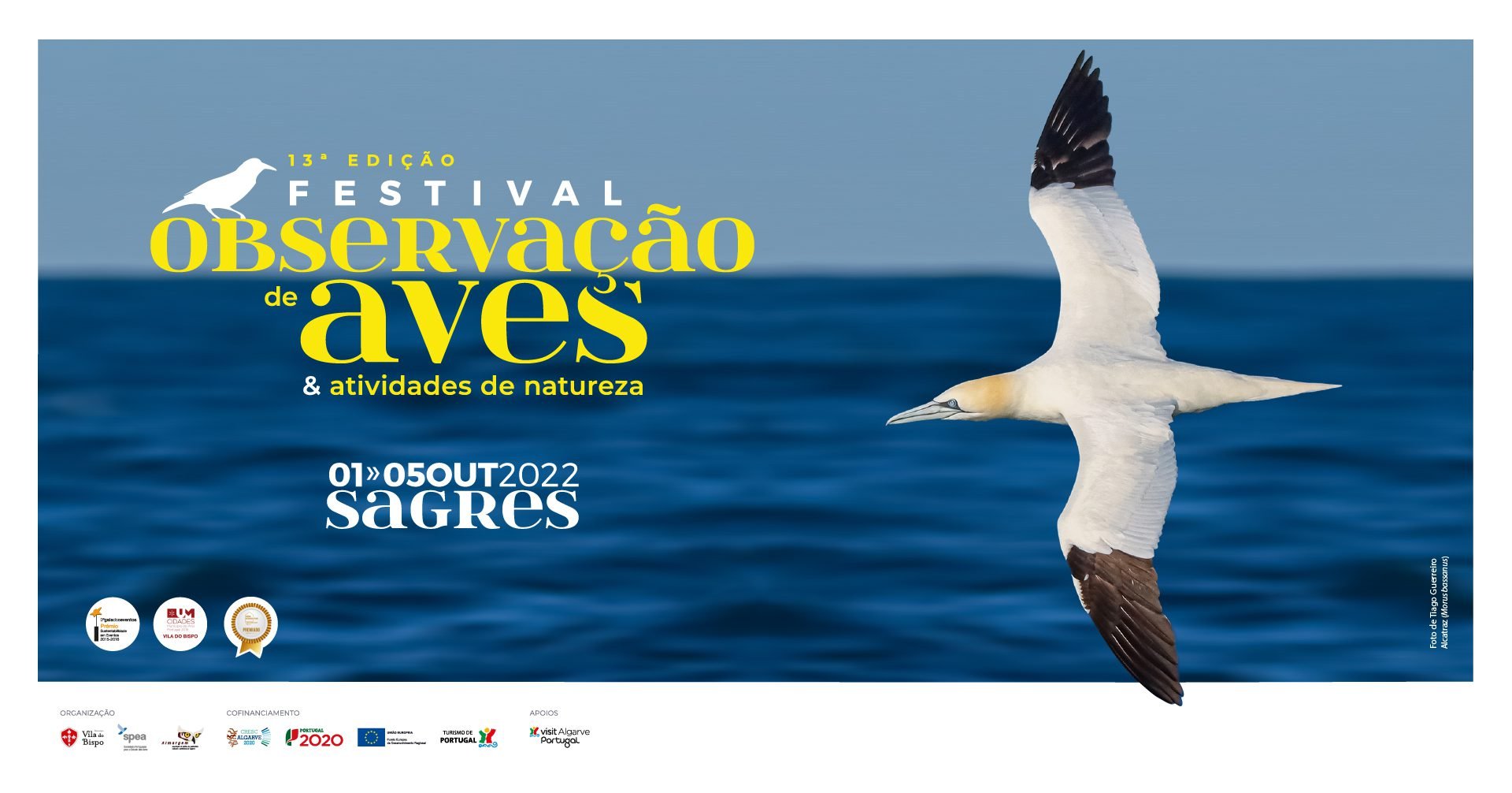 Festival de Observação de Aves Sagres 2022