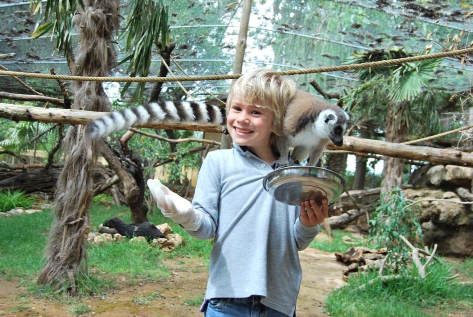 Krazy world criança com lemur