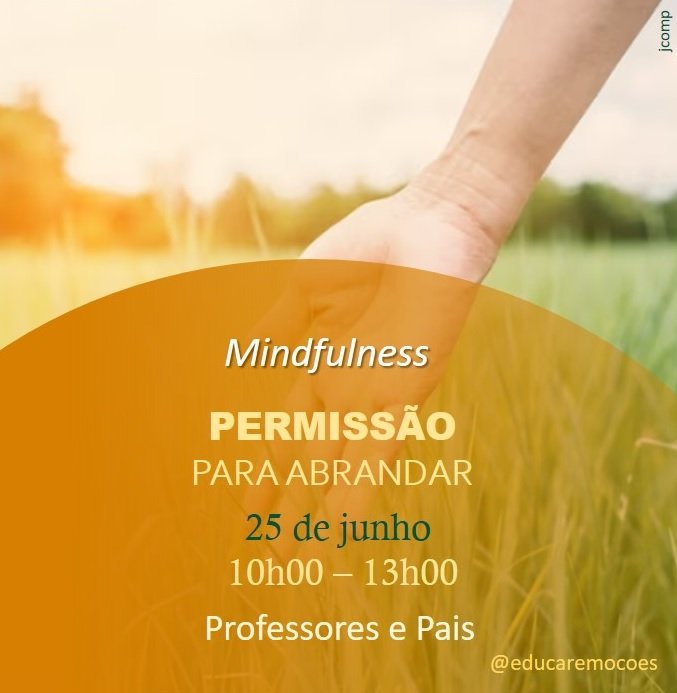 Mindfulness Professores e Pais