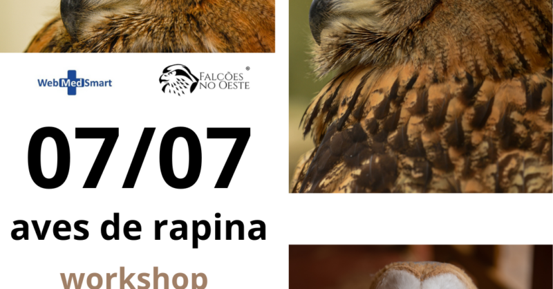 Workshop sobre Aves de Rapina