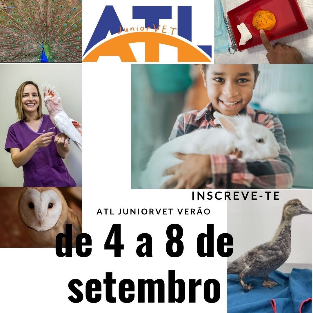 ATL Férias Júnior VET – Escola de Veterinários