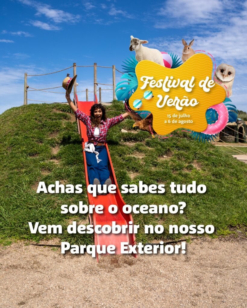 Festival de Verão - SEA LIFE Porto