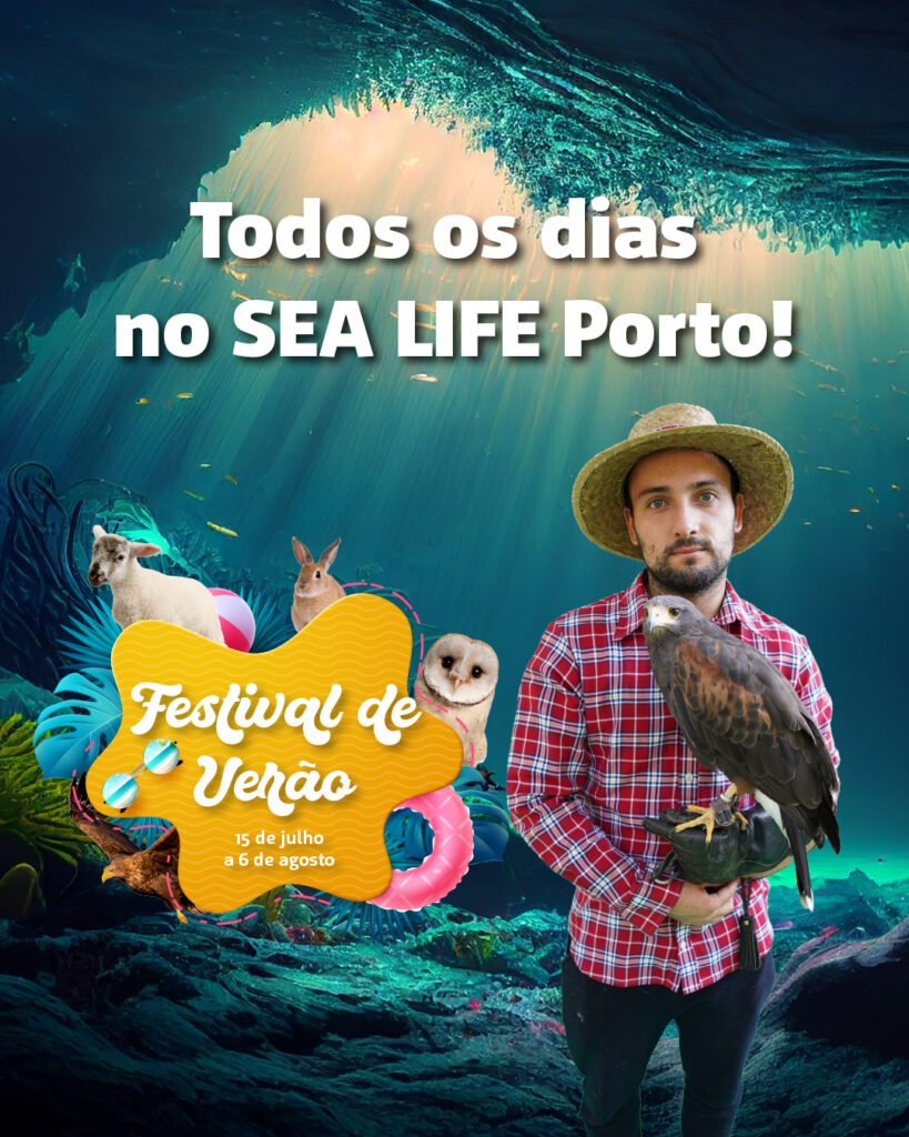 Festival de Verão - SEA LIFE Porto