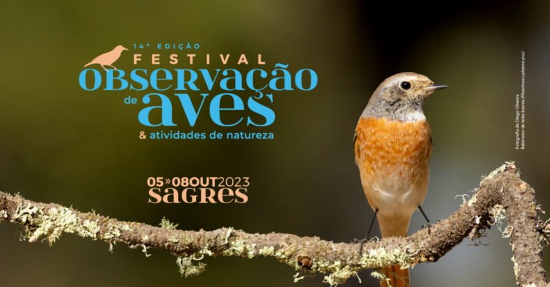 Festival de Observação de Aves & Atividades de Natureza regressa de 5 a 8 de outubro de 2023