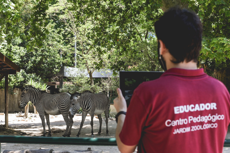 Programa Educativo Virtual do Jardim Zoológico de Lisboa