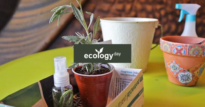 Dia da Ecologia na Fábrica Centro Ciência Viva de Aveiro